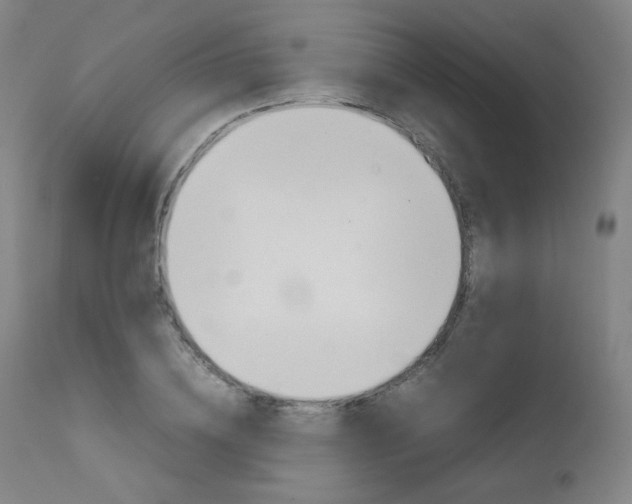 X0000111630836200907171126