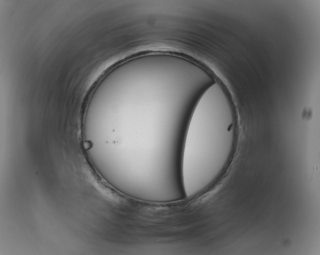 X0000111630837200907171126
