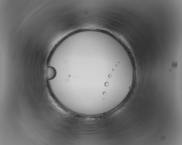 X0000111630839200907171127