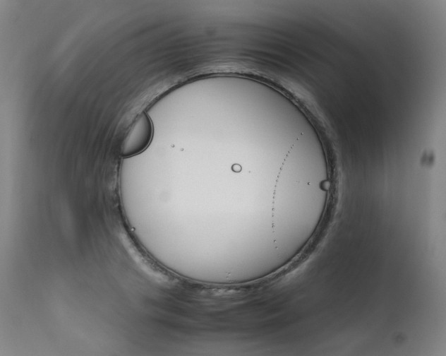 X0000111630841200907171127