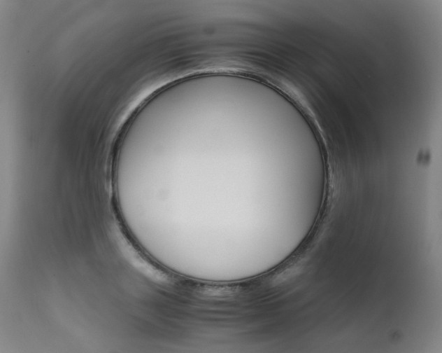 X0000111630843200907171127