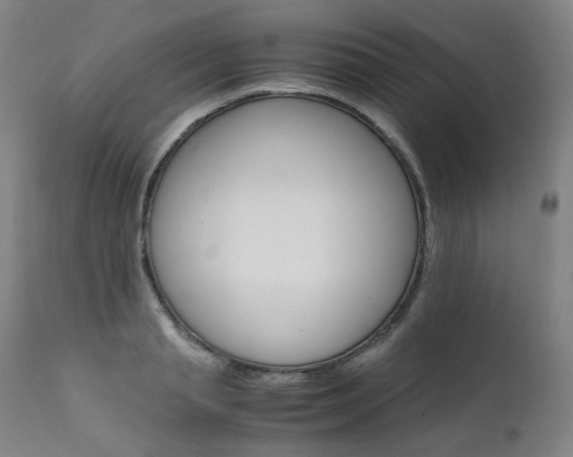 X0000111630845200907171127