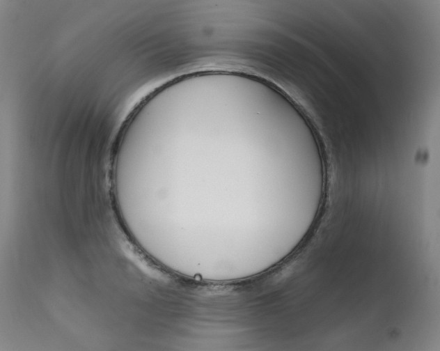 X0000111630846200907171127