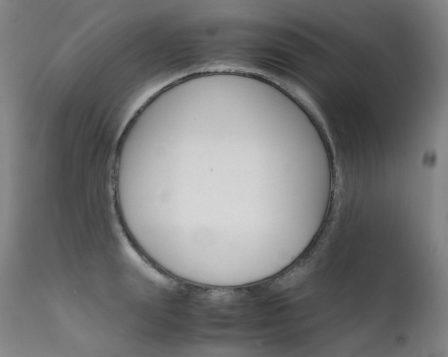 X0000111630847200907171127