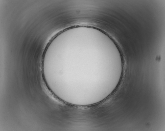 X0000111630848200907171127