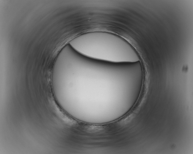 X0000111630849200907171127