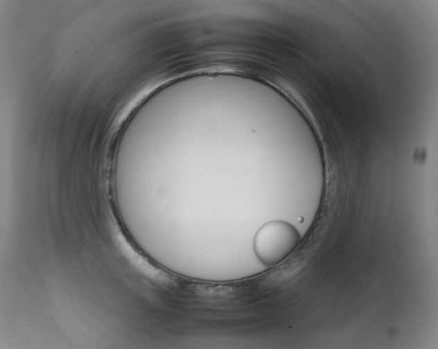 X0000111630851200907171127