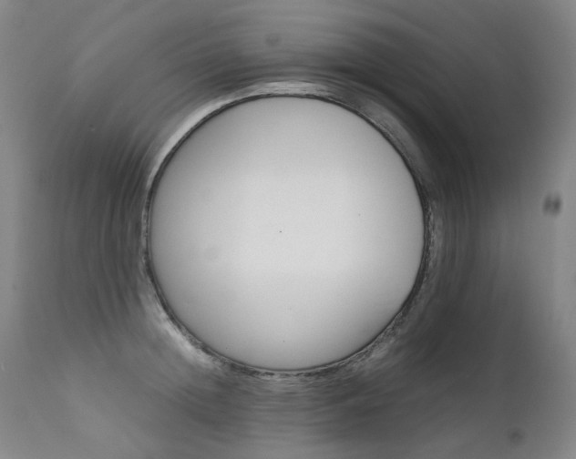 X0000111630852200907171127
