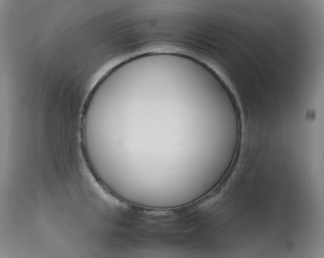 X0000111630853200907171127
