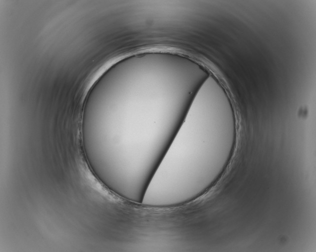X0000111630860200907171127