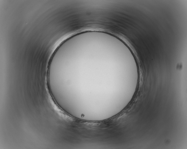X0000111630861200907171127