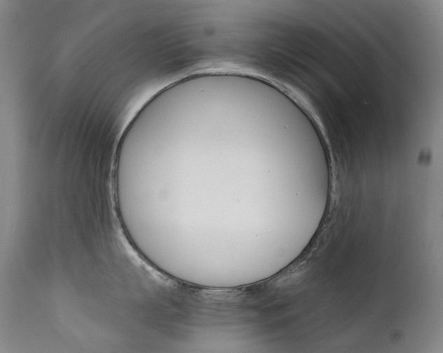 X0000111630863200907171127