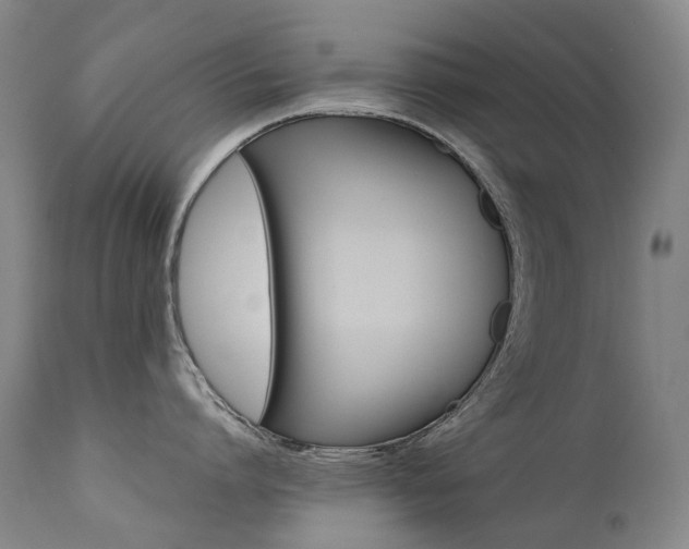 X0000111630864200907171127