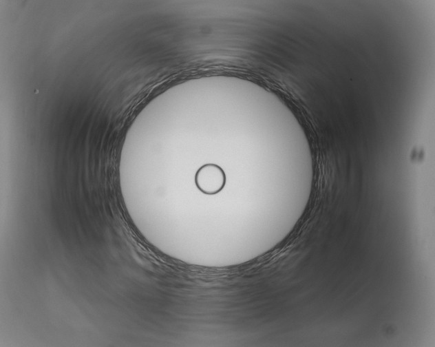 X0000111630868200907171126