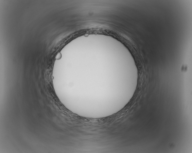 X0000111630869200907171126