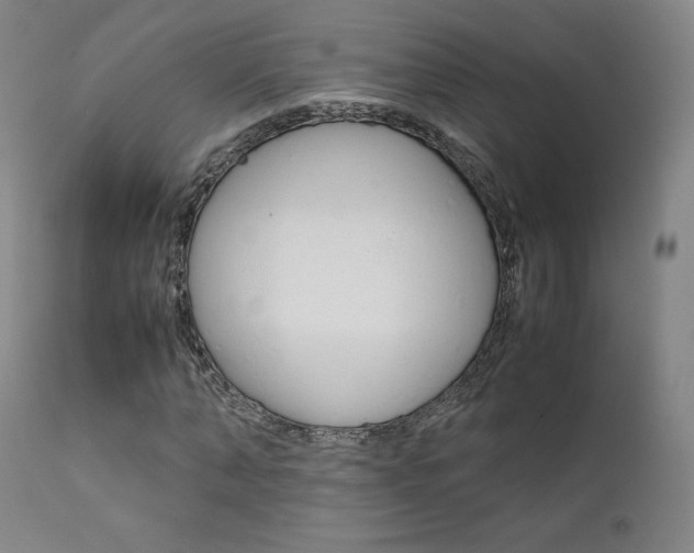 X0000111630870200907171126