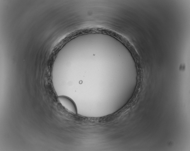 X0000111630871200907171126