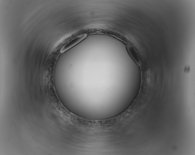 X0000111630872200907171126