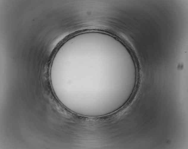 X0000111630875200907171126
