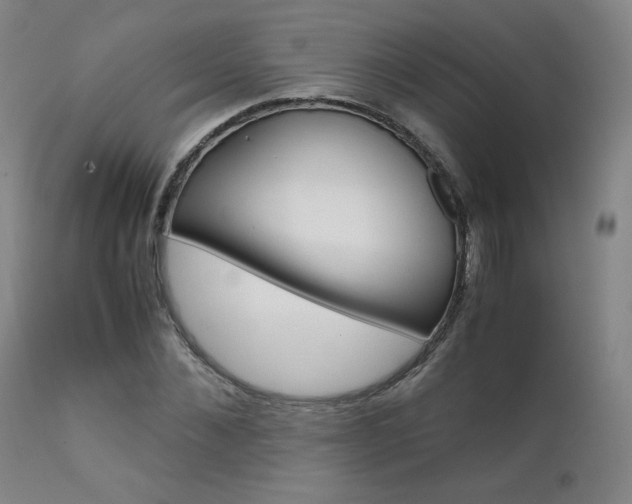 X0000111630876200907171126