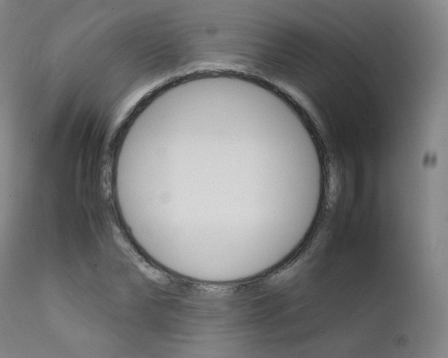 X0000111630878200907171126