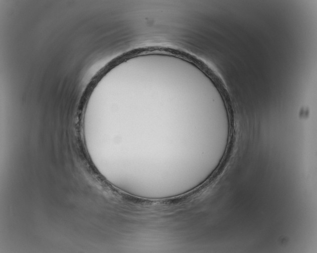 X0000111630879200907171126