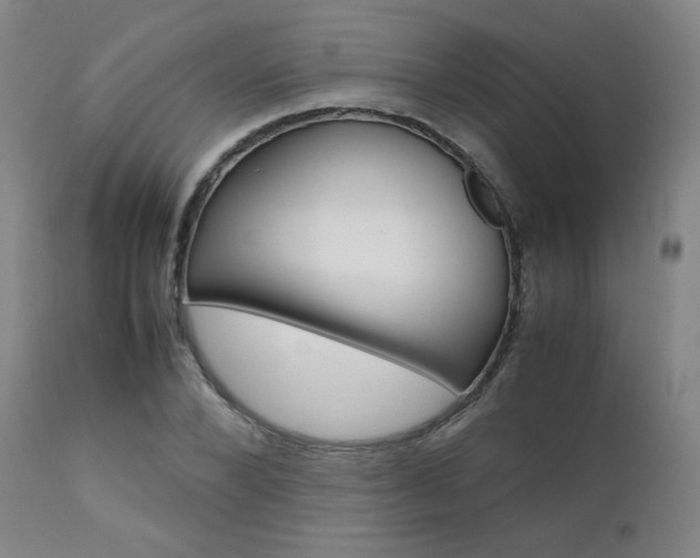 X0000111630880200907171126