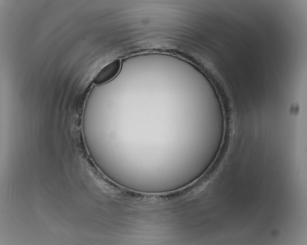 X0000111630881200907171126