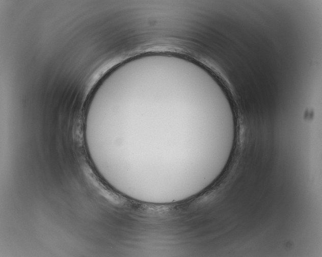 X0000111630882200907171126