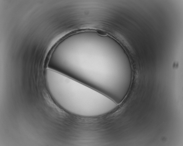X0000111630884200907171126