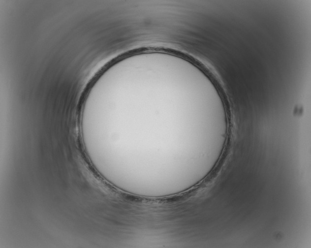 X0000111630887200907171126