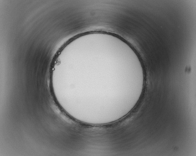 X0000111630888200907171126