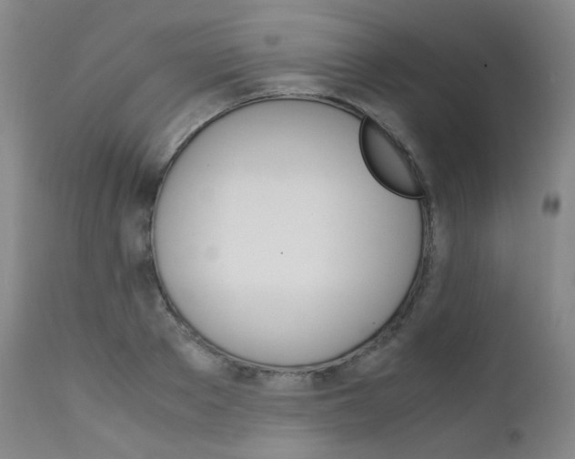 X0000111630889200907171126