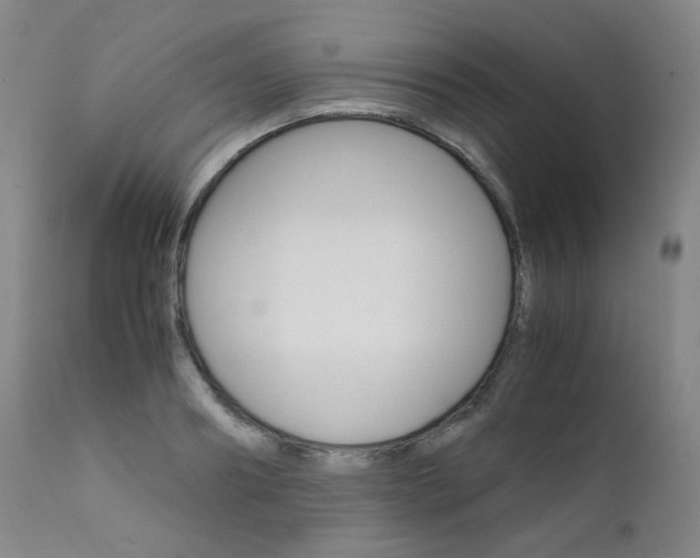 X0000111630890200907171126