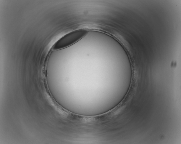 X0000111630893200907171126