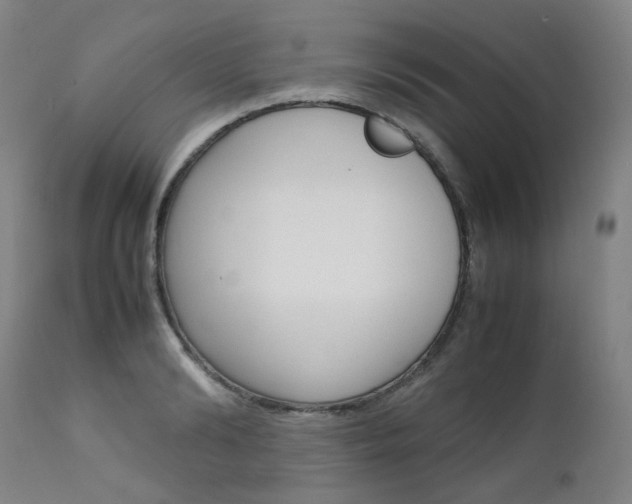 X0000111630894200907171126
