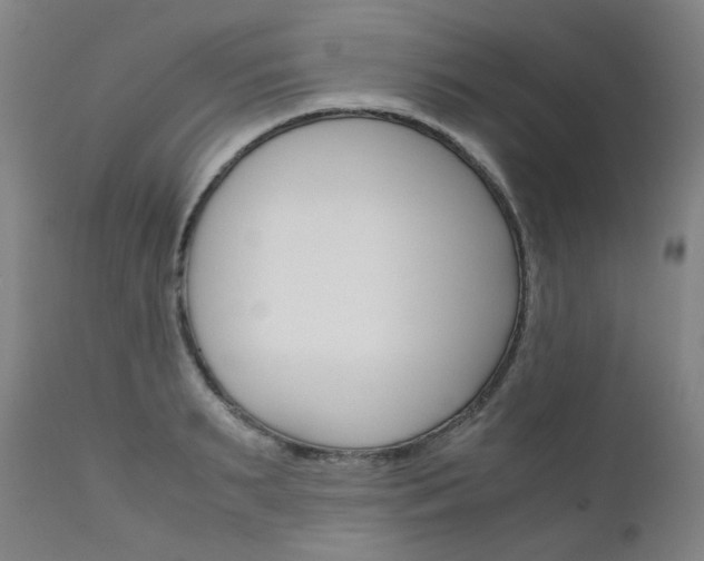 X0000111630895200907171126