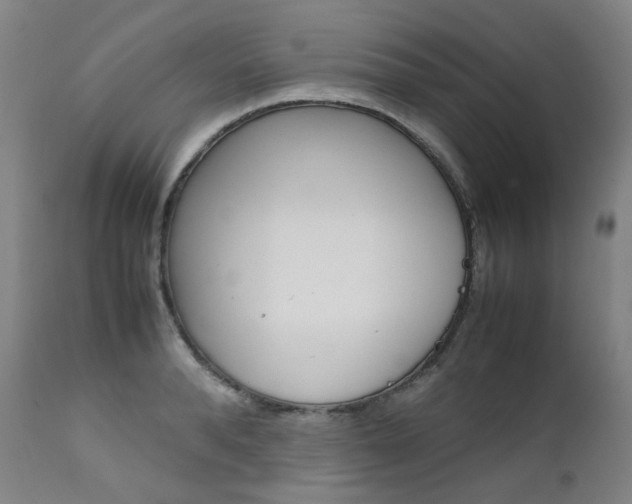 X0000111630896200907171126