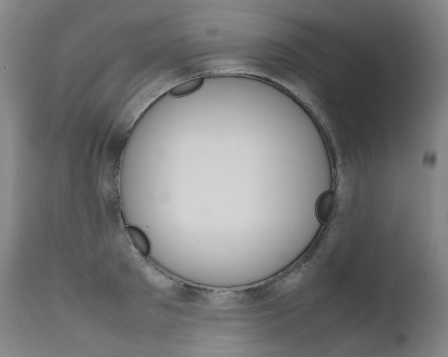 X0000111630897200907171126