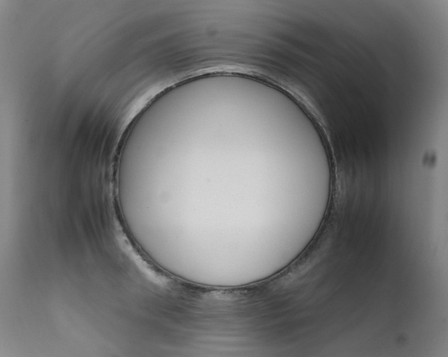 X0000111630898200907171126