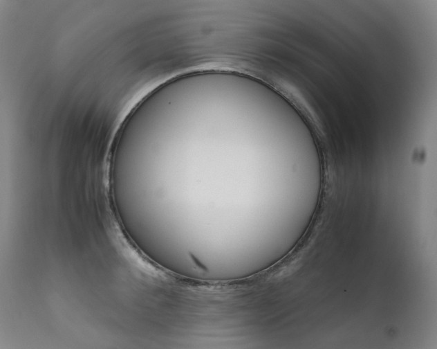 X0000111630900200907171126