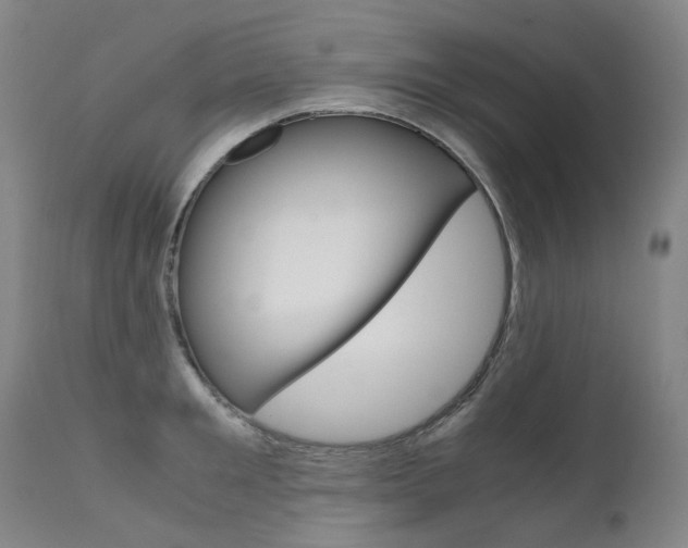 X0000111630901200907171126