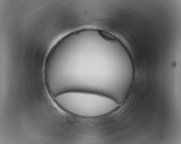 X0000111630902200907171126