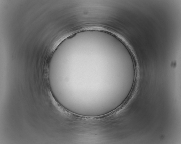 X0000111630905200907171125
