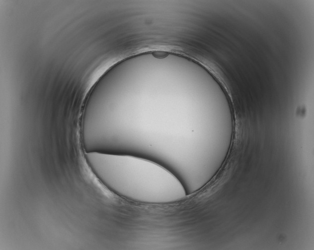 X0000111630906200907171125