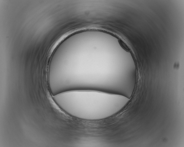 X0000111630911200907171125