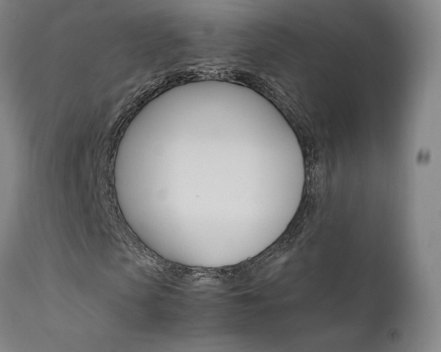 X0000111630913200907171124
