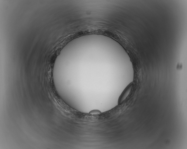 X0000111630914200907171124