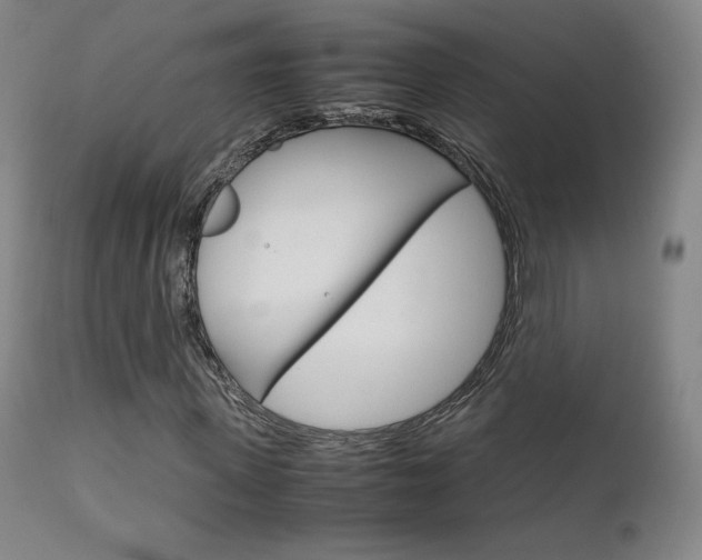 X0000111630915200907171124