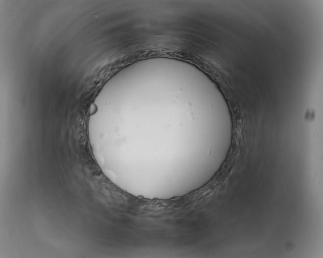 X0000111630917200907171124